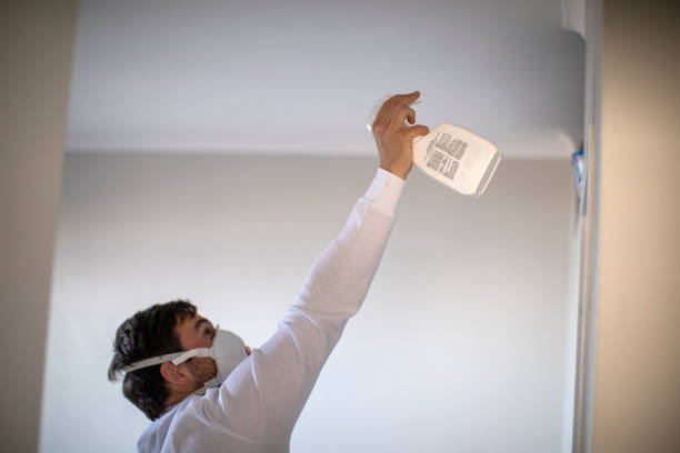 Professional Mold Remediation in Foresthill, CA