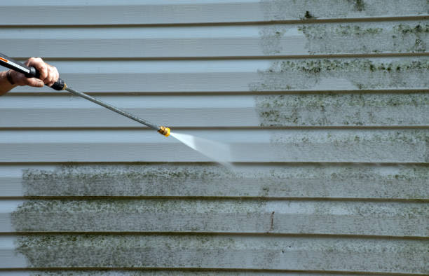 Best Mold Remediation for Specific Building Types in Foresthill, CA