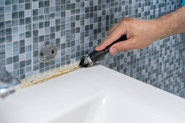 Best Mold Remediation for Schools in Foresthill, CA
